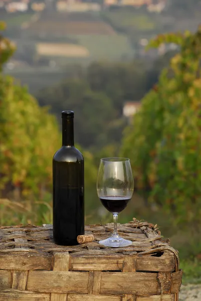 Ramo de cest uvas y botella de vino tinto en el ambiente del viñedo . — Foto de Stock