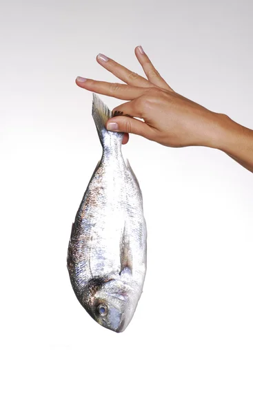 一个 youg 女性手拿着新鲜的鱼。拿着鱼. — 图库照片