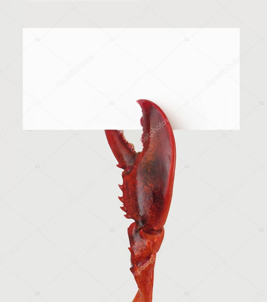 Lobster claw holding white panel