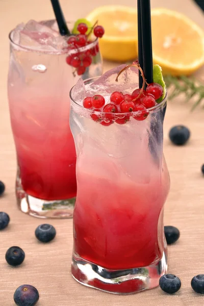 Forest fruit cocktail drinks — Stock Photo, Image
