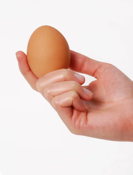 Female Hand Hold Egg Isolated White Background — Stock Photo, Image