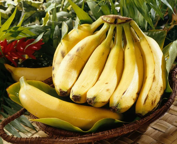 Bunch Fresh Banana Natural Background — Stock Photo, Image