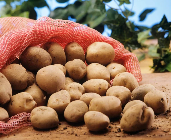 Aardappelen Zak Het Platteland Buiten Rustieke Achtergrond — Stockfoto