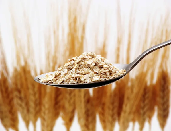 Oat Spoon Wheat Spikes Background — Stock Photo, Image