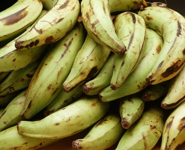 Green Platanos Background Typical South America Vegetable — Stock Photo, Image