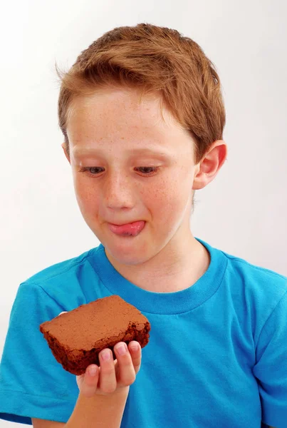 Niño Comiendo Chocolate Brownie Retrato Sobre Fondo Blanco —  Fotos de Stock