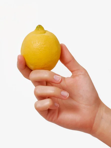 Female Hand Hold Yellow Lemon Fruit White Background — стоковое фото