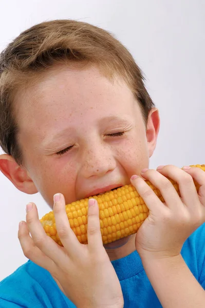 Criança Feliz Comendo Uma Cultura Milho Fresco Fundo Branco — Fotografia de Stock