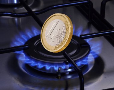 Avrupa doğalgaz krizinde doğalgaz ocağına Euro sikkesi