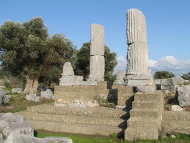 Temenos Teos (Türkiye Tapınağı Dionysos)