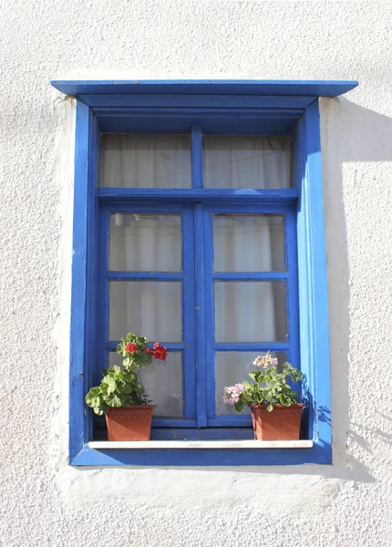 Ventana con macetas —  Fotos de Stock