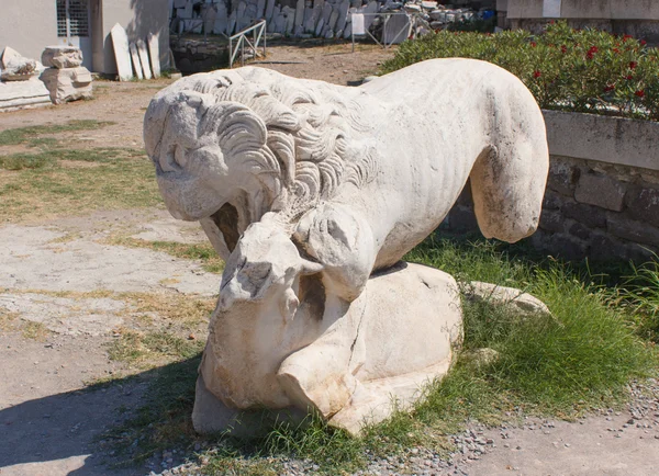 Staty av lejon — Stockfoto