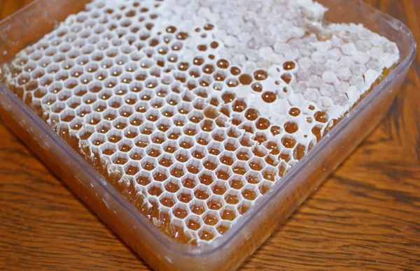 Honung i vit honeycomb — Stockfoto