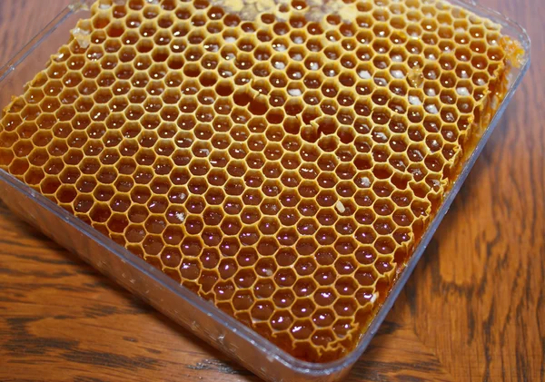 Med v honeycomb1 — Stock fotografie