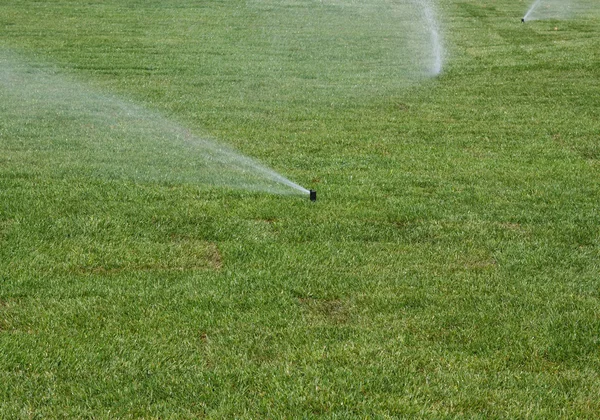 çim bir rulo çim sulama 