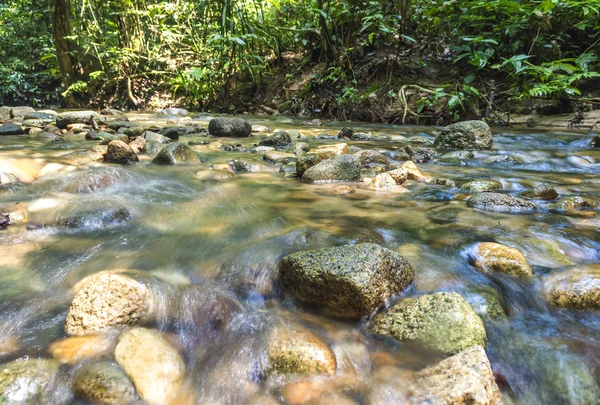 Arroyo — Foto de Stock