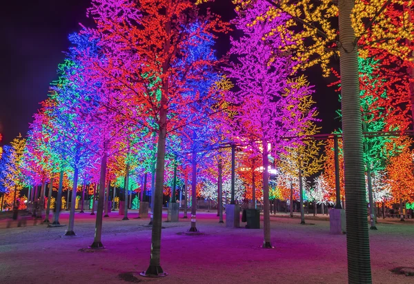 LED tree — Stock Photo, Image