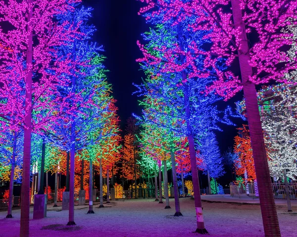 Світлодіодні дерево Ліцензійні Стокові Фото