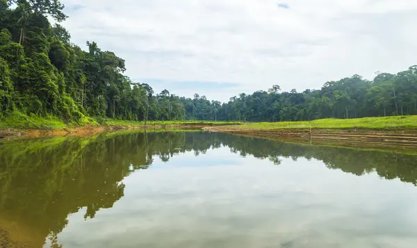 Lake reflection — Stock Photo, Image