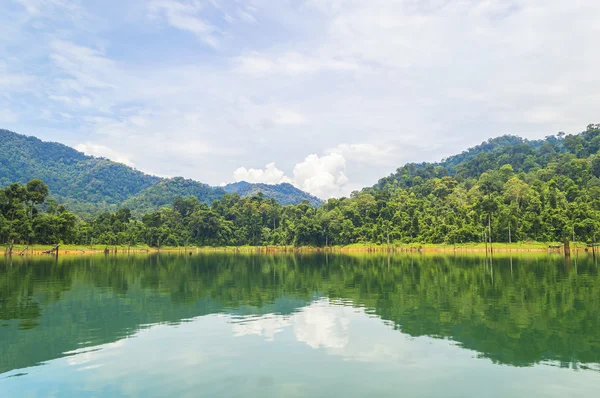 Forêt tropicale et réflexion — Photo