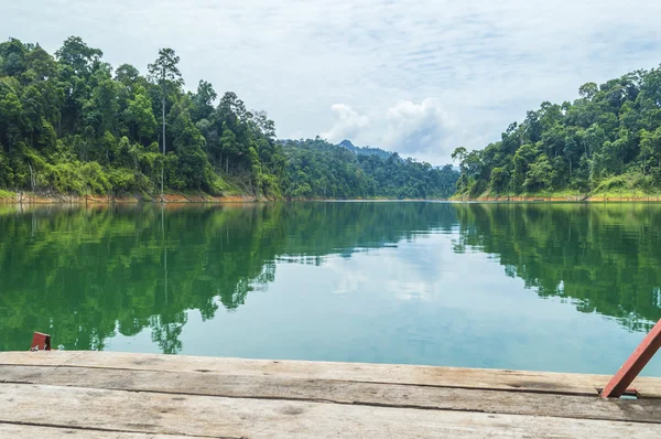 Bosque lluvioso — Foto de Stock