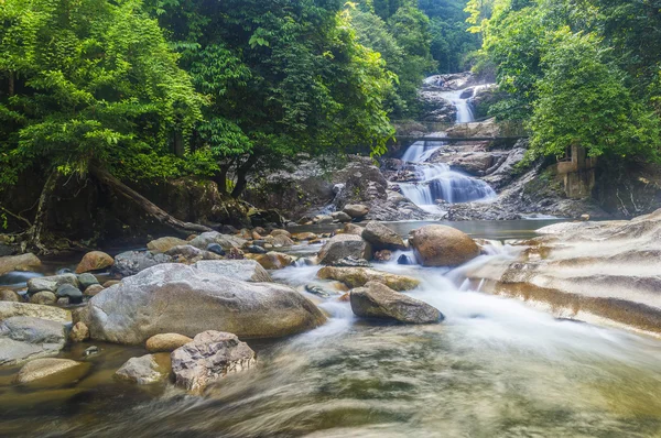 Floresta Cachoeira — Fotografia de Stock