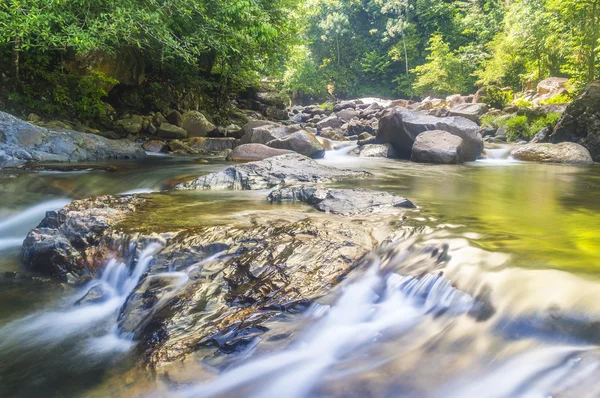 Cascada del bosque — Foto de Stock