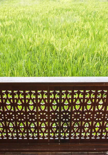 Hus plattform vänd åt risfält — Stockfoto