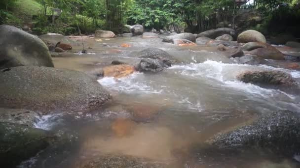 溪流 — 图库视频影像