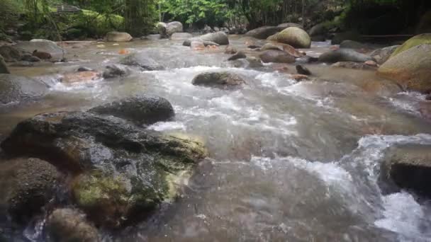 Arroyo — Vídeos de Stock