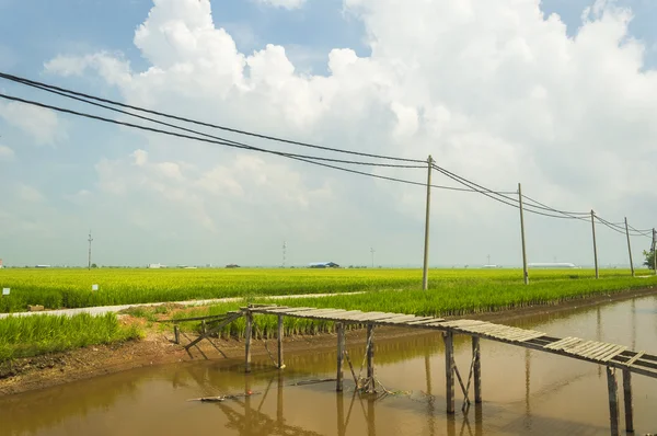 Puente de madera viejo — Foto de Stock