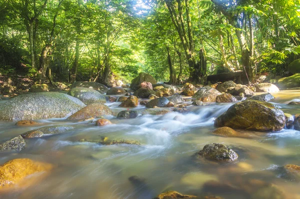 Corriente de agua — Foto de Stock