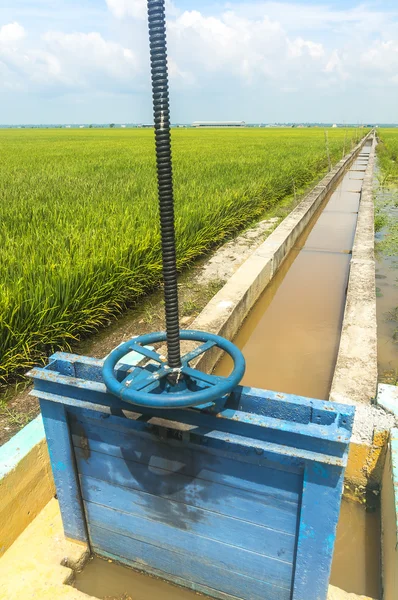 Irrigation — Stock Photo, Image