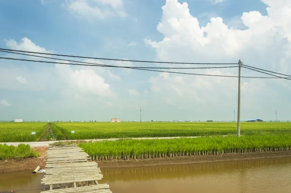 Oude houten brug — Stockfoto