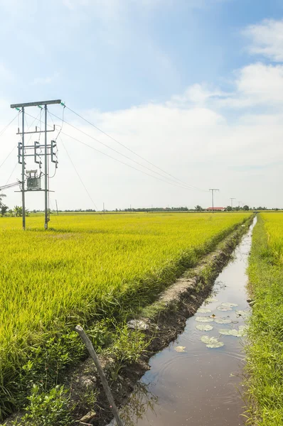 Poste eléctrico —  Fotos de Stock