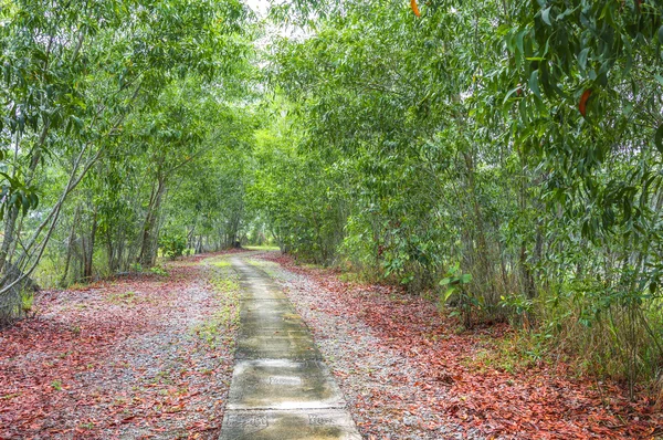 Jogging track — Stockfoto