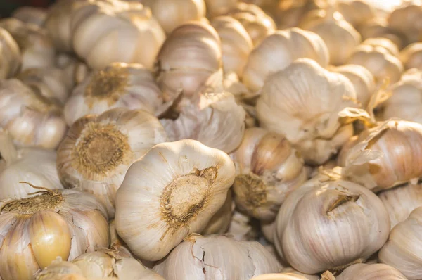 Avvicinamento dell'aglio — Foto Stock