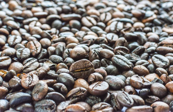 Coffee beans — Stock Photo, Image