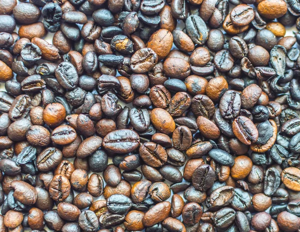 Coffee beans — Stock Photo, Image