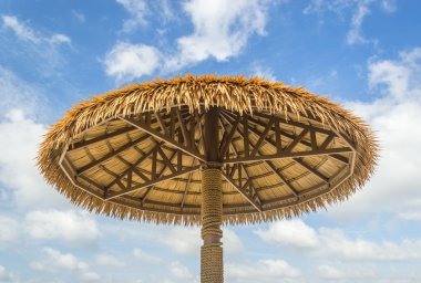Bambu şemsiye
