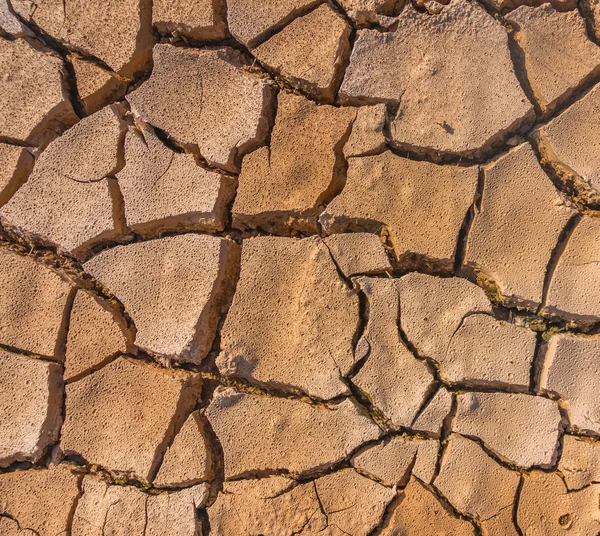 Soil crack — Stock Photo, Image