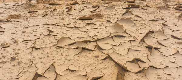 Soil crack — Stock Photo, Image