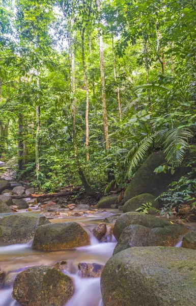 Corriente de agua —  Fotos de Stock