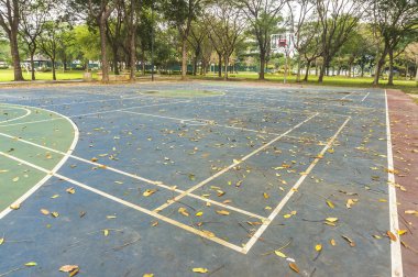 Basketbol sahası