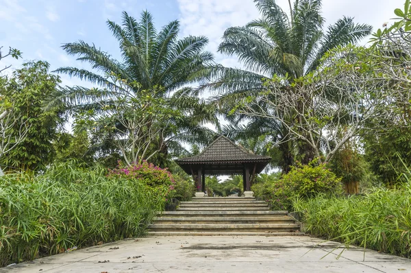 Jardín —  Fotos de Stock