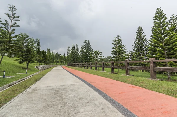 Gartenweg — Stockfoto