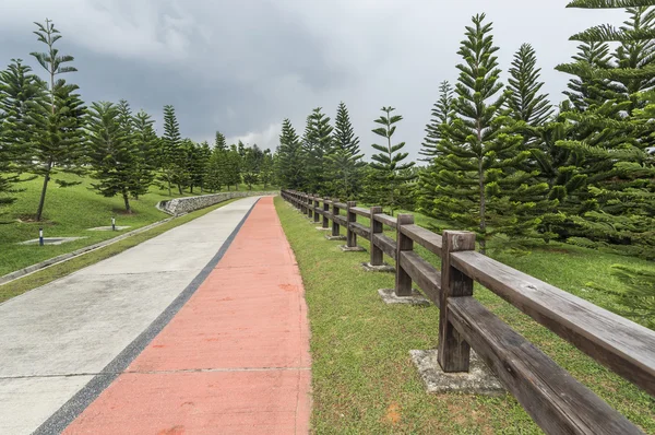 Garden walkway — Stock Photo, Image