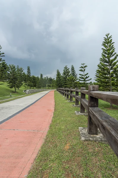 Garden walkway — Stock Photo, Image