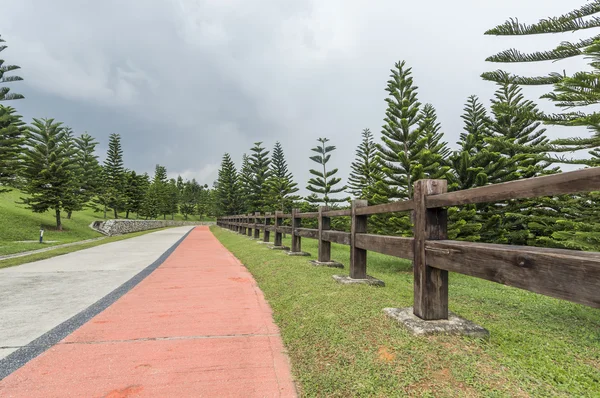 Garden walkway — Stock Photo, Image