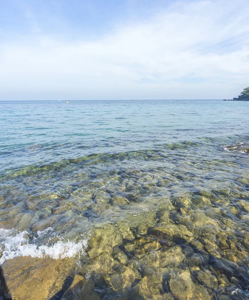 Skalista plaża — Zdjęcie stockowe